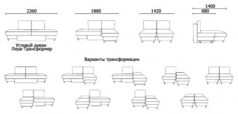 Лира ракурс 5