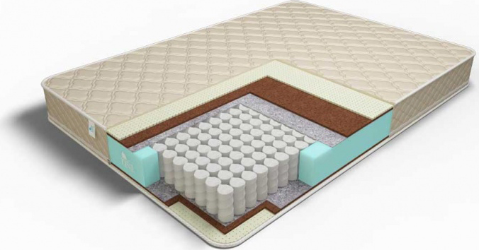 Promo Medium TFK Promo Medium TFK