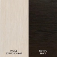 Шкаф-купе Базис 11 ракурс 6