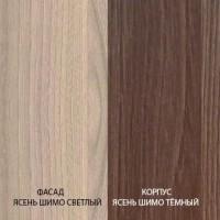 Шкаф-купе Базис 11 ракурс 5